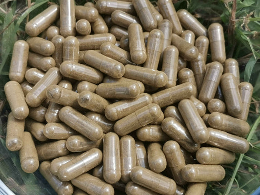 Organic Brahmi/bacopa Herb capsule Made by BirdSongOragnicsau