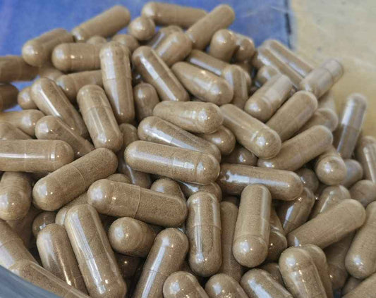 Organic Mistletoe ( Viscum album )  Herb capsule Made by BirdSongOragnicsAU